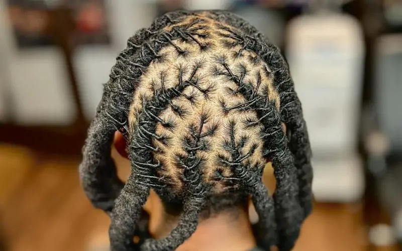 Small Locs: 10 Trendy Hairstyles Ideas for 2024 | dreadlockswig